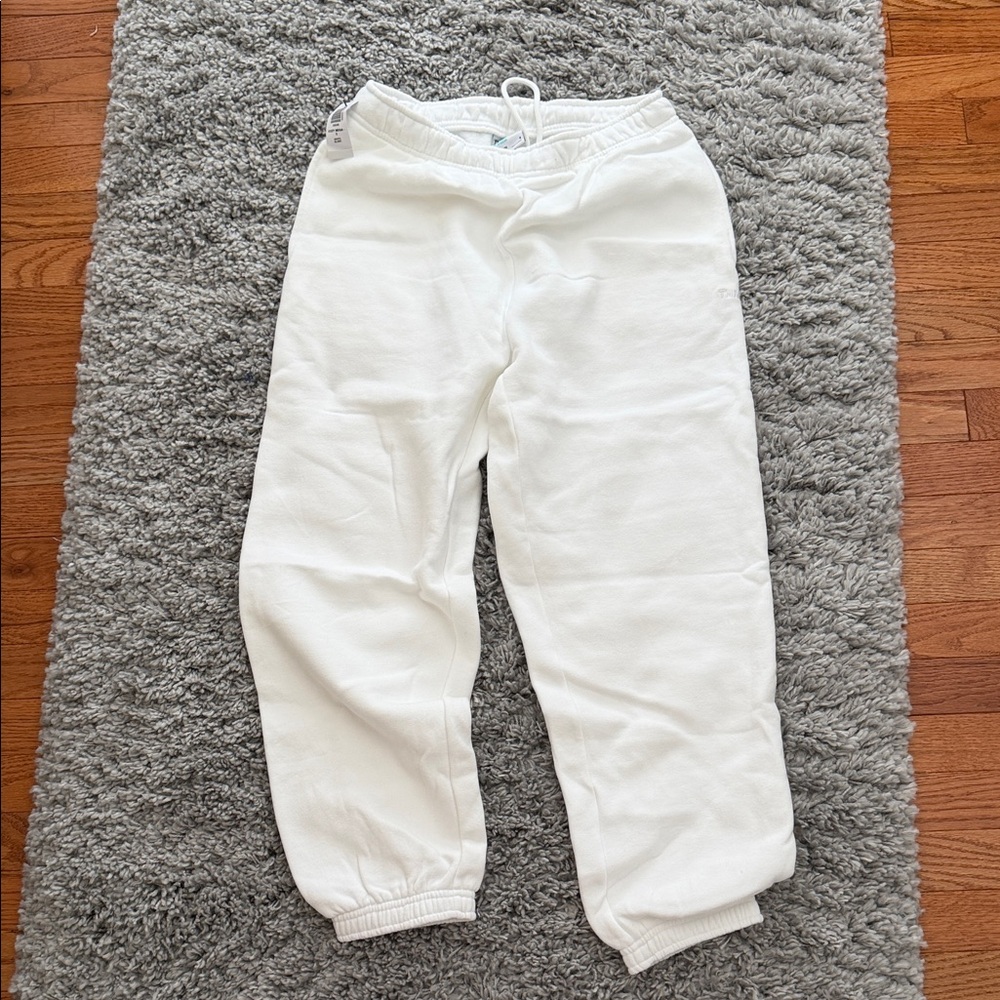 Aritzia Mega Fit Fleece Sweatpants
